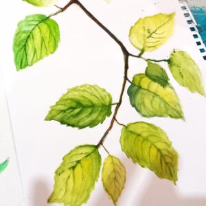 Atelier de acuarelă. Ilustrație botanică